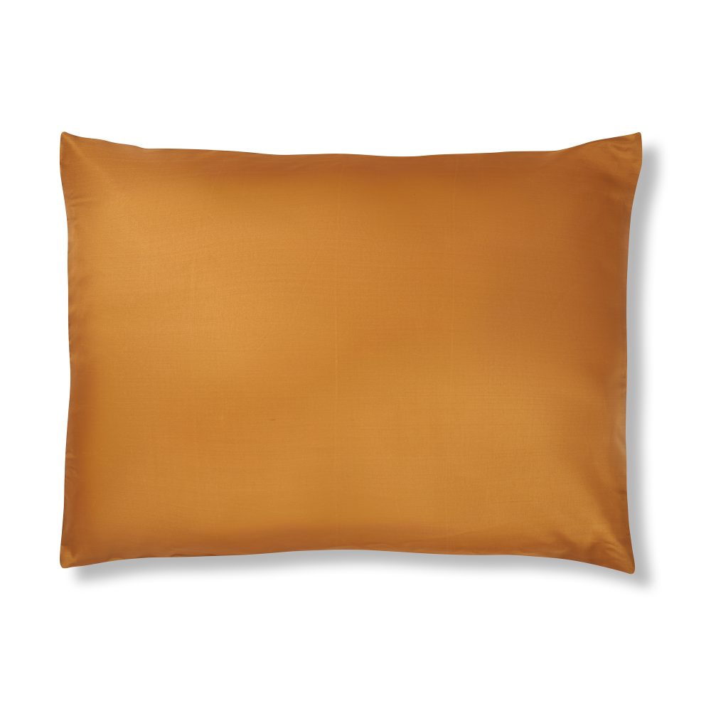 Pure Silk pillow cases - Image 3